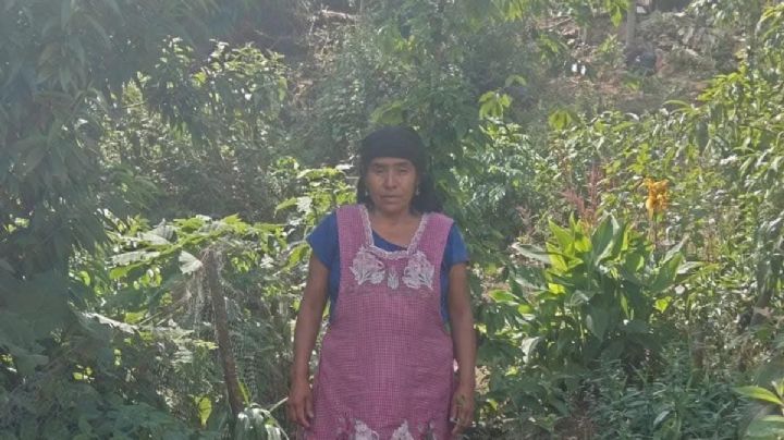 Con el apoyo de autoridades, una mujer fue desterrada y despojada de sus bienes en Oaxaca