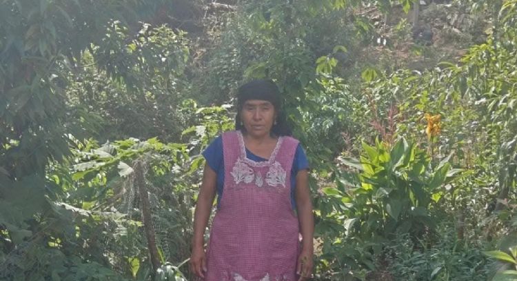 Con el apoyo de autoridades, una mujer fue desterrada y despojada de sus bienes en Oaxaca