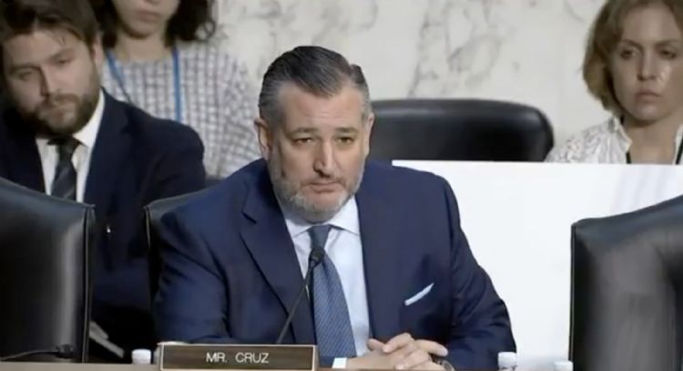 Cárteles mexicanos superan a EU en el uso de drones: Ted Cruz (Video)