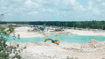 Tren Maya: La Semarnat publicó estudios de impacto ambiental cuando el daño ya estaba hecho