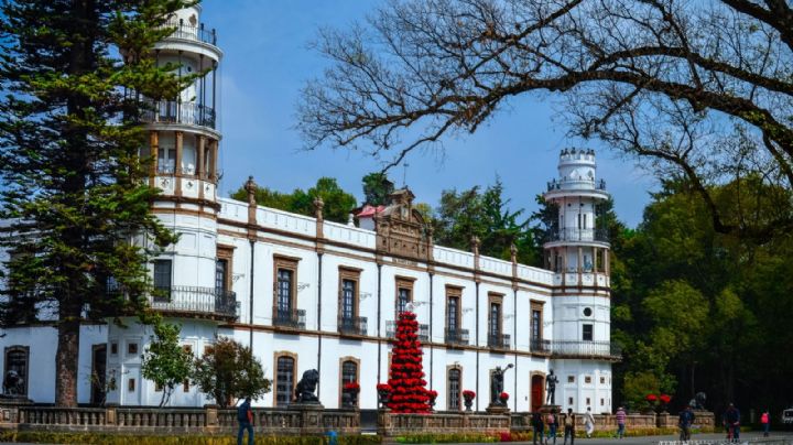 Tras pelea en sus oficinas, la Universidad Autónoma de Chapingo denuncia agresiones a su personal