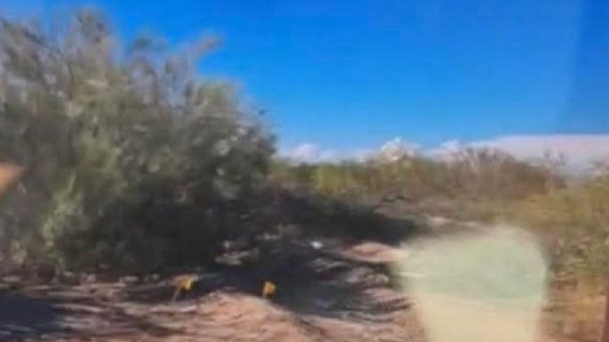 Ejecutan a tres niñas en Sonora; buscadoras encontraron los cuerpos baleados