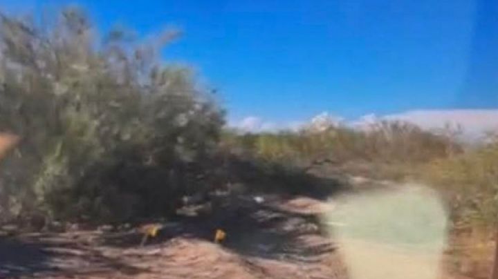 Ejecutan a tres niñas en Sonora; buscadoras encontraron los cuerpos baleados