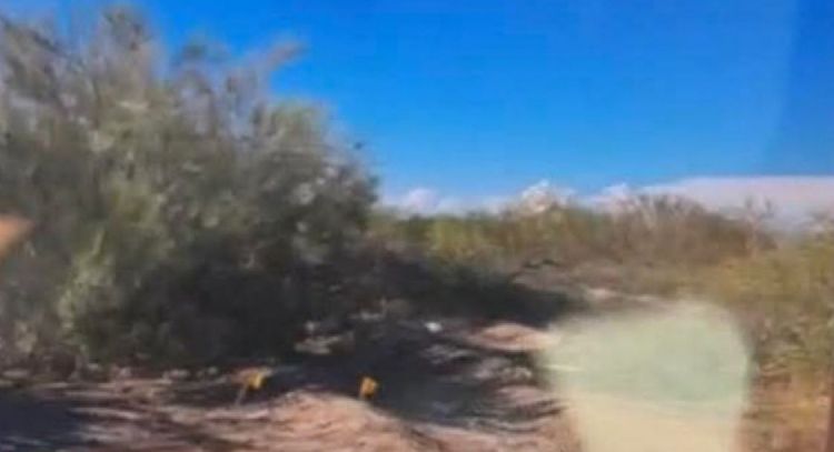 Ejecutan a tres niñas en Sonora; buscadoras encontraron los cuerpos baleados