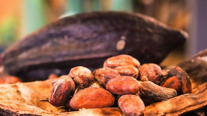 Día Mundial del Cacao: beneficios médicos y riesgos por metales en el chocolate oscuro
