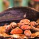 Día Mundial del Cacao: beneficios médicos y riesgos por metales en el chocolate oscuro