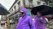Foto ilustrativa de la nota titulada: Ondas tropicales 9 y 10 seguirán provocando lluvias fuertes el martes: atención en 25 entidades