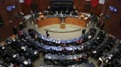 Foto ilustrativa de la nota titulada: Senadores del PRI y PAN condenan el asesinato de Irma Hernández en Veracruz