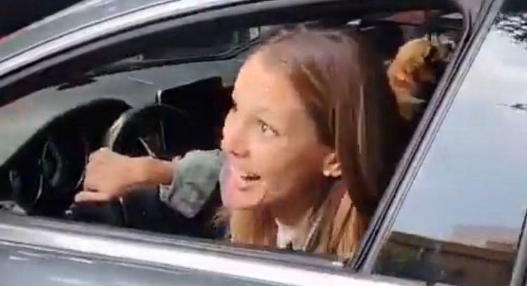 Diputado del PVEM plantea expulsar a “Lady Racista”