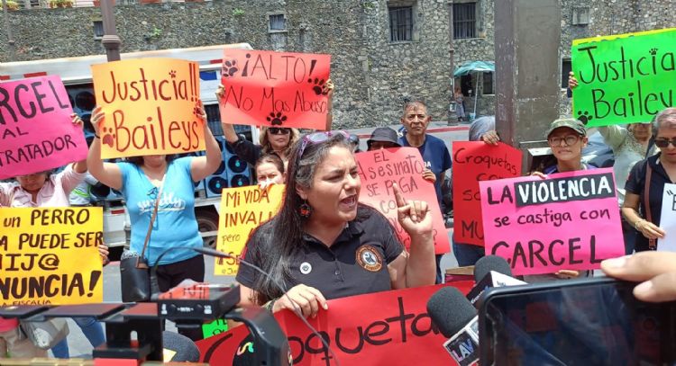 Protestan en Cuernavaca por liberación del asesino de Baileys, perro que murió tras ser golpeado