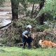 Inundaciones en Texas: Suman 104 muertos y hay múltiples desaparecidos