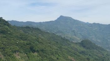Organizaciones exigen suspensión inmediata y definitiva de la carretera San Cristóbal-Palenque