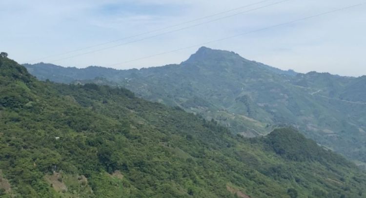 Organizaciones exigen suspensión inmediata y definitiva de la carretera San Cristóbal-Palenque