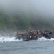 Leones marinos aterrorizados se lanzaron al mar durante terremoto en Rusia (Video)