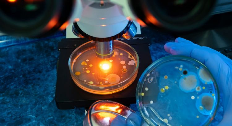 La bacteria "come carne" se encuentra en estos lugares: lo que debes saber para protegerte