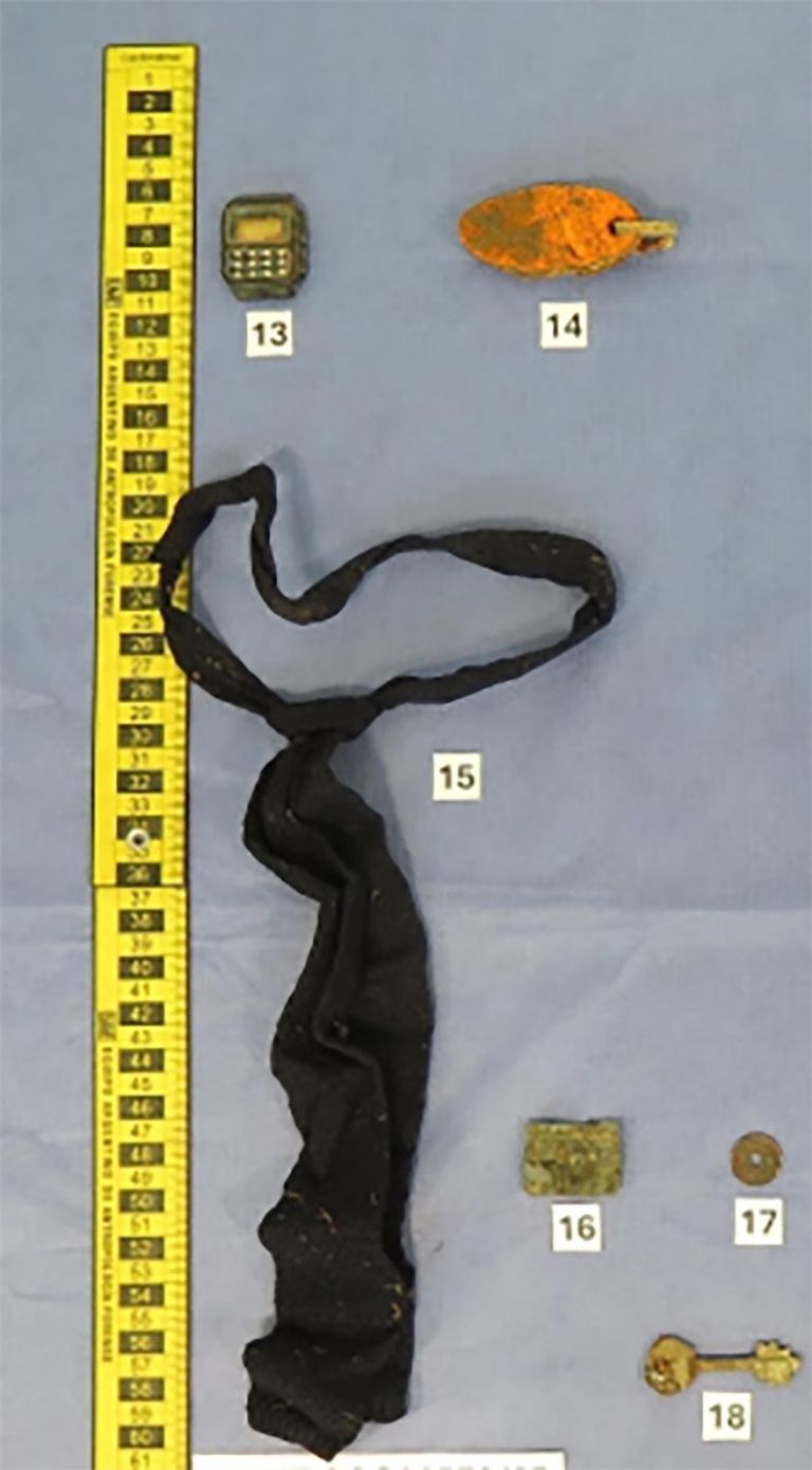 Identifican los restos humanos hallados en casa que habitó Gustavo Cerati. Foto: Infobae
