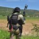 EU celebra operativo contra el CJNG; presume capacitación a agentes mexicanos