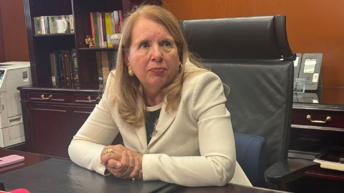 Hubiera sido suicida si la SCJN discutía prisión preventiva: Loretta Ortiz