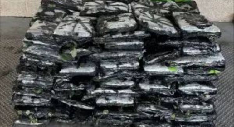 CBP incauta metanfetamina valuada en más de 7.6 mdd en cargamento de rosas de México a EU