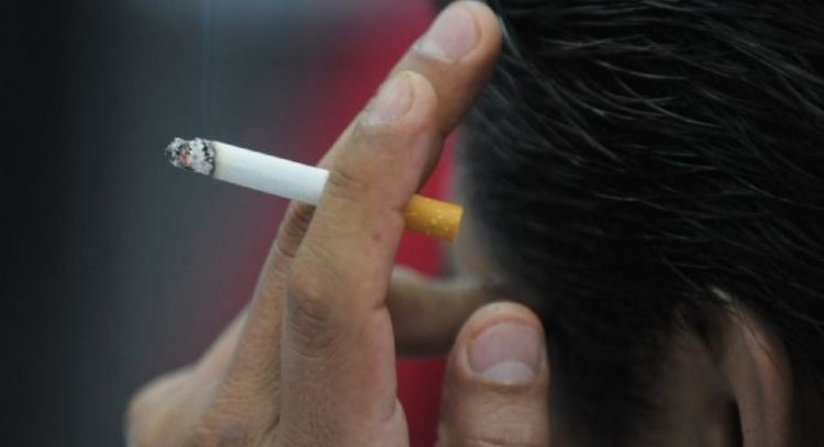 Piden a Sheinbaum aplicar “impuestos saludables” al alcohol, tabaco y bebidas azucaradas