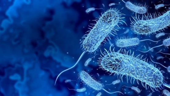 OMS notifica más de 390 mil casos de cólera en 2025 y califica la situación de "fracaso colectiva"
