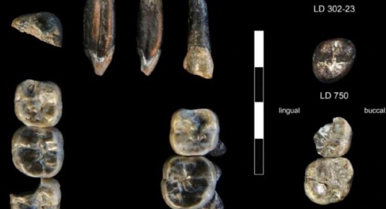 Nueva especie de ancestro humano revelada en Etiopía