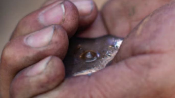 Exfuncionaria panista vinculada a red de tráfico de mercurio de Querétaro a Sudamérica
