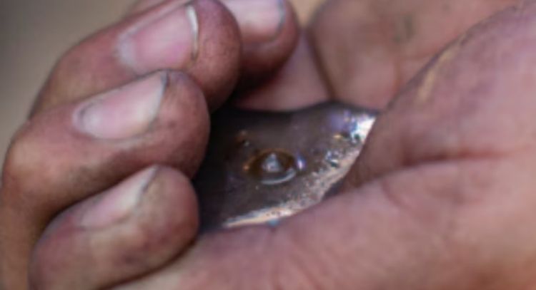 Exfuncionaria panista vinculada a red de tráfico de mercurio de Querétaro a Sudamérica