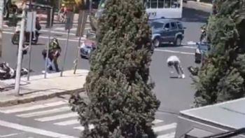 Policía mata a motociclista tras riña en punto de revisión: esto es lo que se sabe (Video)