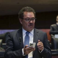 Hay un “Plan B” por si es rechazada la reforma electoral, dice Ignacio Mier