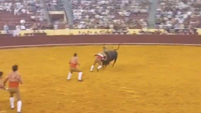 Tragedia en los toros: joven forcado muere tras ser embestido (Video)