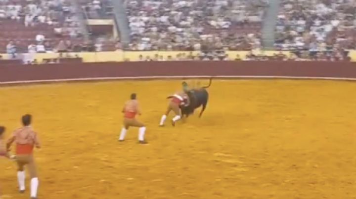 Tragedia en los toros: joven forcado muere tras ser embestido (Video)