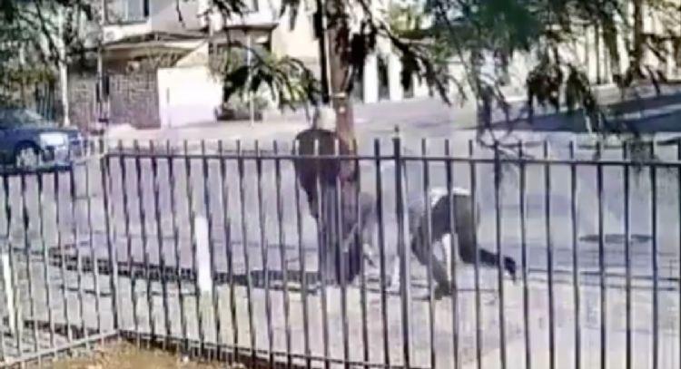 Arrestan a policía municipal y su hermano por agresión al periodista Jorge Heras