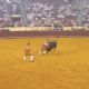 Tragedia en los toros: joven forcado muere tras ser embestido (Video)