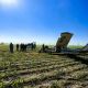 Se estrella avioneta en Reynosa; muere piloto y un pasajero resulta herido