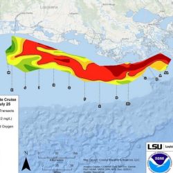 La "zona muerta" del Golfo de México cae un 21% menos de lo previsto