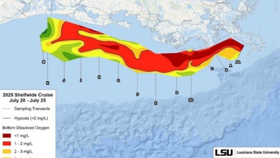 La "zona muerta" del Golfo de México cae un 21% menos de lo previsto