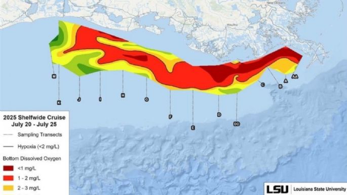La "zona muerta" del Golfo de México cae un 21% menos de lo previsto