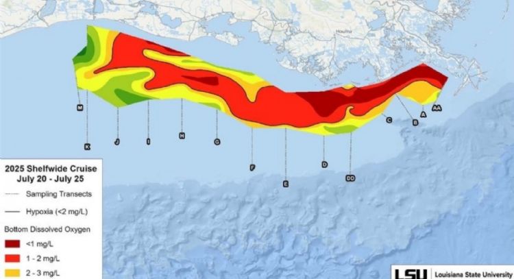 La "zona muerta" del Golfo de México cae un 21% menos de lo previsto