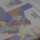 Demócratas de Texas salen del estado para impedir nuevo mapa electoral propuesto por Trump
