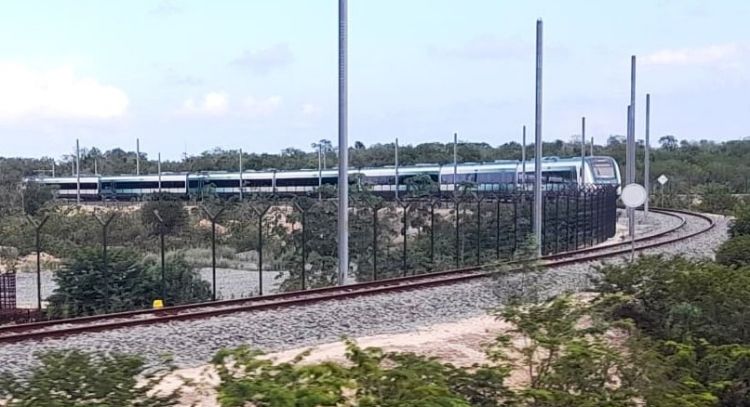 Semarnat autoriza nuevo desmonte de selva para la terminal de carga del Tren Maya en Cancún
