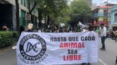 Foto ilustrativa de la nota titulada: Activistas denuncian que titular de la PAOT no da seguimiento a denuncias por maltrato animal