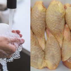 ¿Se debe lavar el pollo antes de cocinarlo? Esto responde la UNAM
