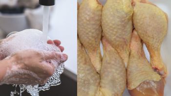 ¿Se debe lavar el pollo antes de cocinarlo? Esto responde la UNAM