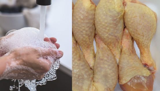 ¿Se debe lavar el pollo antes de cocinarlo? Esto responde la UNAM