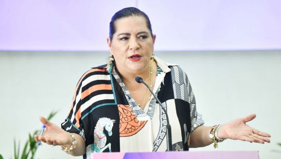 Taddei buscará una reunión con Pablo Gómez; pide “prudencia” en la reforma electoral
