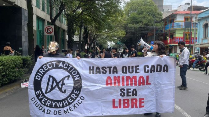 Activistas denuncian que titular de la PAOT no da seguimiento a denuncias por maltrato animal