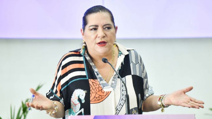 Taddei buscará una reunión con Pablo Gómez; pide “prudencia” en la reforma electoral