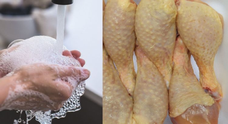 Â¿Se debe lavar el pollo antes de cocinarlo? Esto responde la UNAM