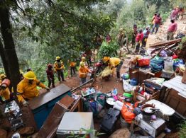 Recuperan cuatro hectáreas invadidas en la zona boscosa de Los Dinamos